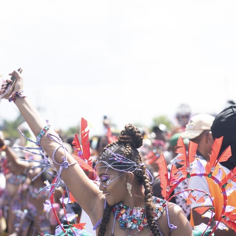 A masquerader with arms raised, violet feathers against the light